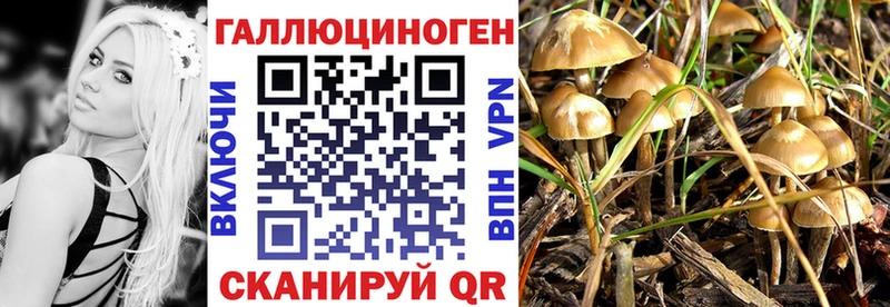 Галлюциногенные грибы GOLDEN TEACHER  блэк спрут вход  Лосино-Петровский 